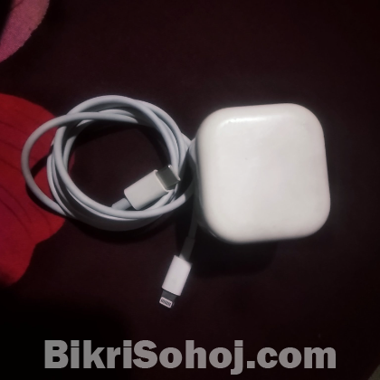 Apple er original charger